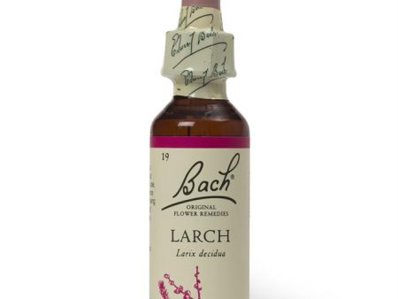 Bach Original Flower Remedies Larch 20ml For Sale