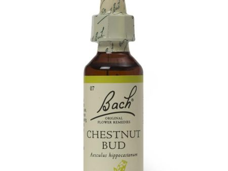 Bach Original Flower Remedies Chestnut Bud 20ml Cheap