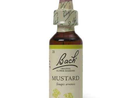 Bach Original Flower Remedies Mustard 20ml For Sale